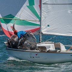 DSC 6128