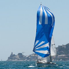 DSC 6205