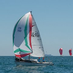 DSC 6339