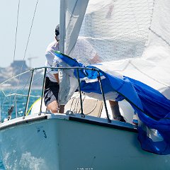 DSC 6376 (2)